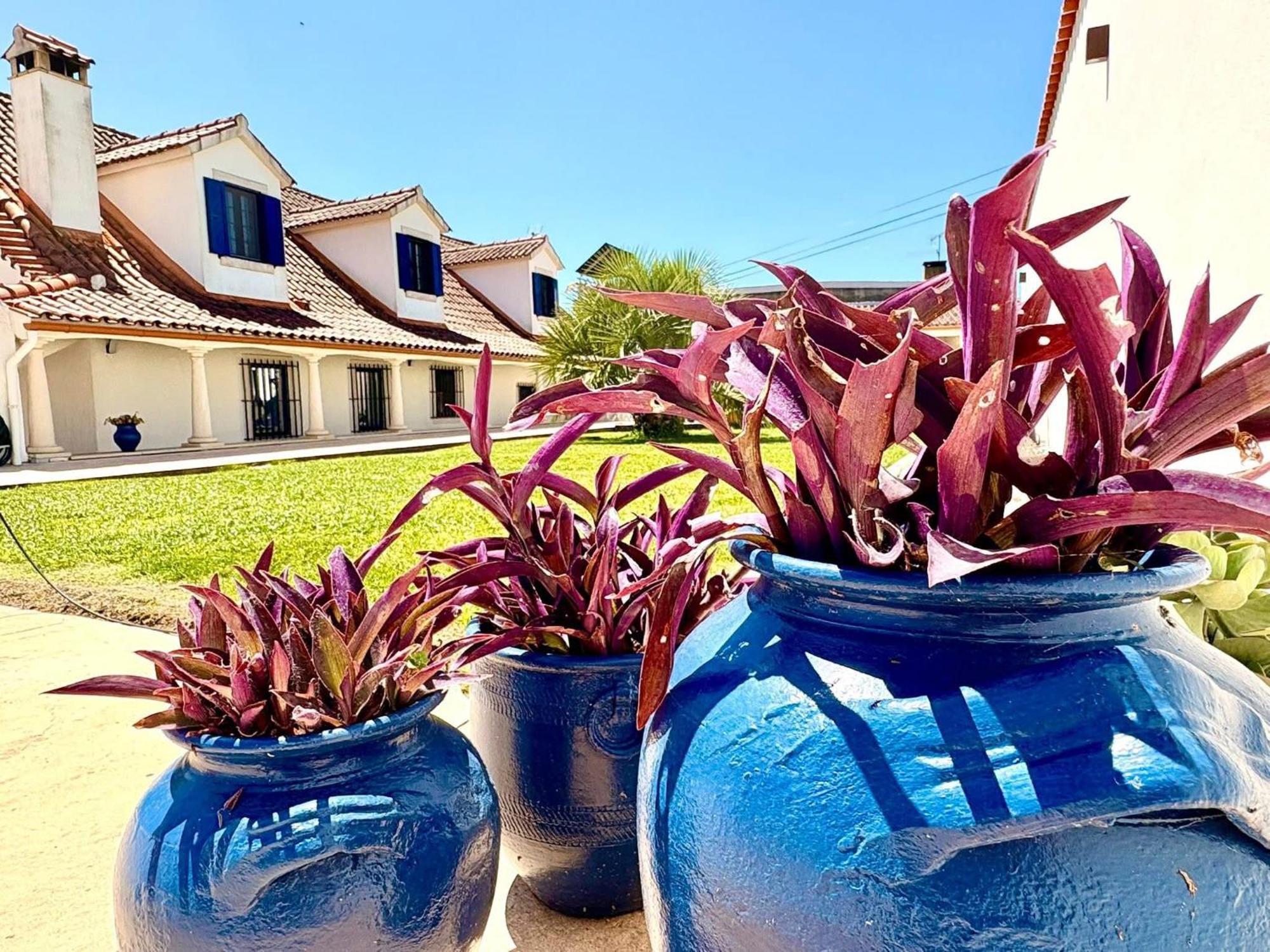 Bed and Breakfast Casal Dos Frades à Fontainhas  Extérieur photo